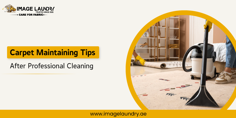 8 Essential Tips for Maintaining Carpet After Professional Cleaning